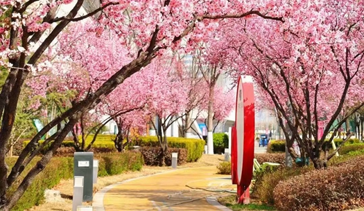 駛向春光里！城發(fā)集團(tuán)奏響“爭(zhēng)春奮進(jìn)曲”